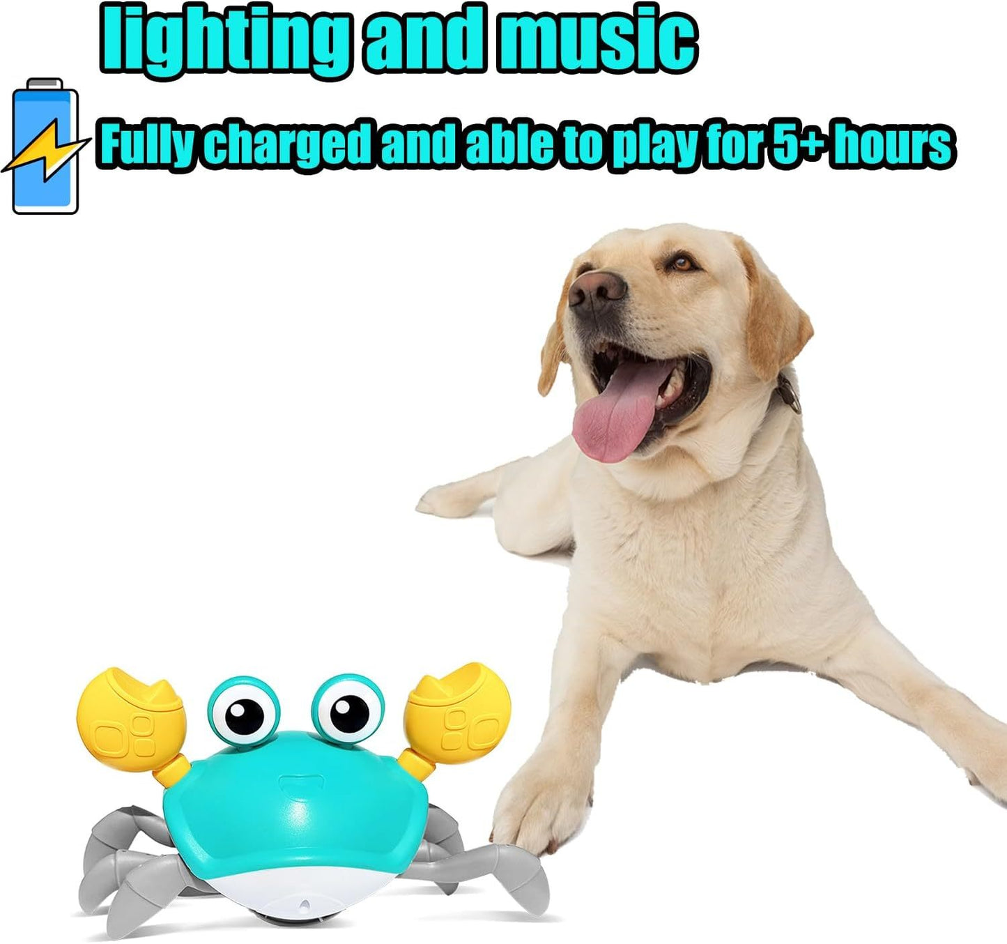 Interactive Crawling Crab Toy – Fun for Pets & Kids!