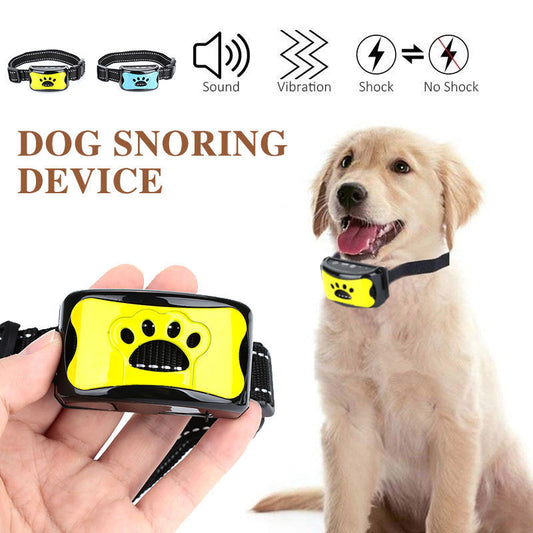 Rechargeable LED Dog Collar – Waterproof & Long-Lasting
