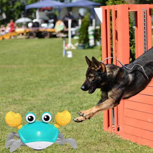 Interactive Crawling Crab Toy – Fun for Pets & Kids!