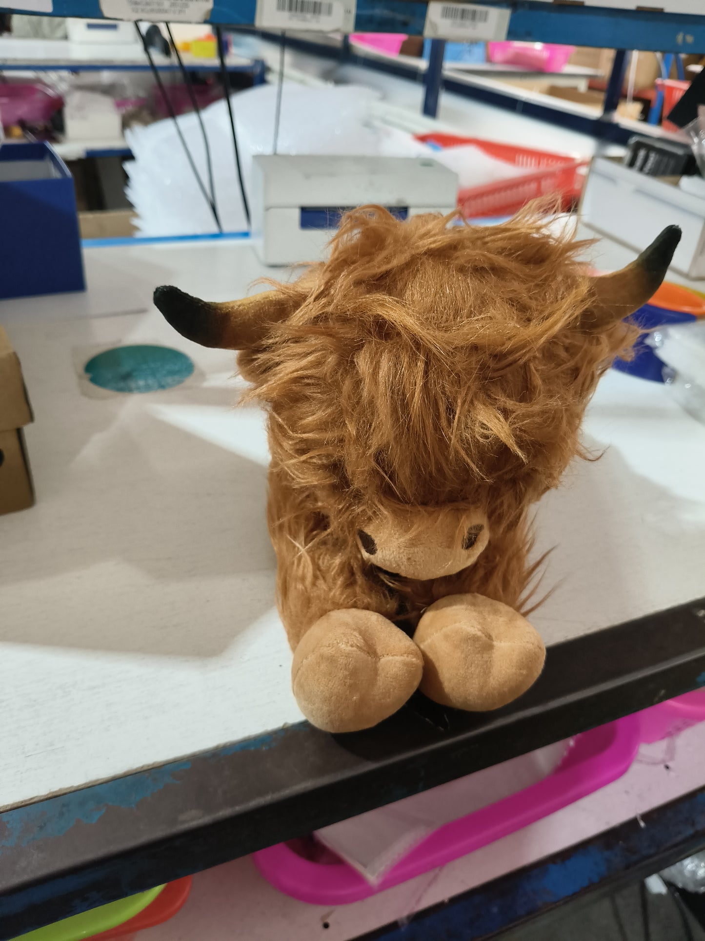 Creative Cartoon Household Highland Cow Plush Toy